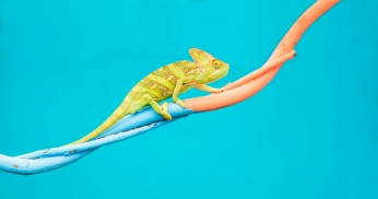 A decorative image related to the article.
