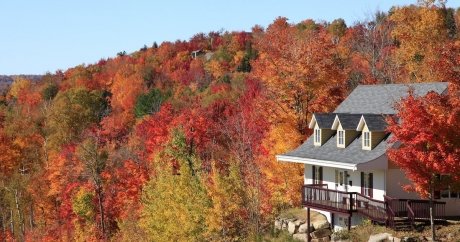 10 Fall Maintenance Tips to Ready Your Home for the Season