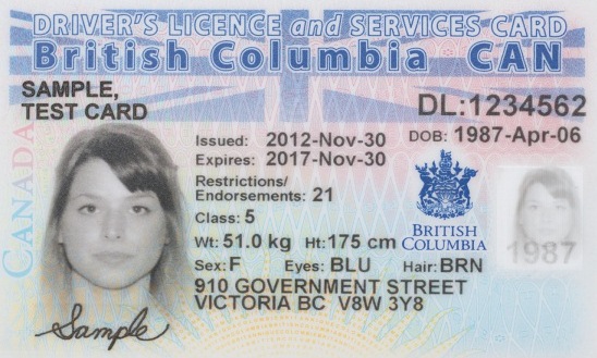 ãcanadian license BCãçåçæå°çµæ