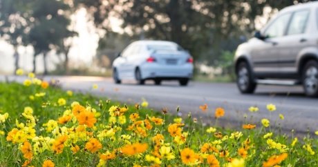 How to get your car ready for spring driving