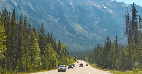 Getting car insurance in Alberta