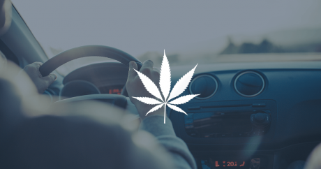 Blunt driving: what legal marijuana means for Canada’s impairment regulations