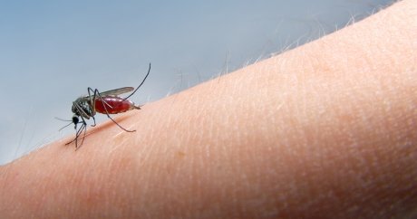 What you need to know about Zika virus and travel insurance