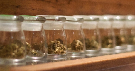 A look at all the ways legal marijuana is going to shake up Canada’s insurance industry