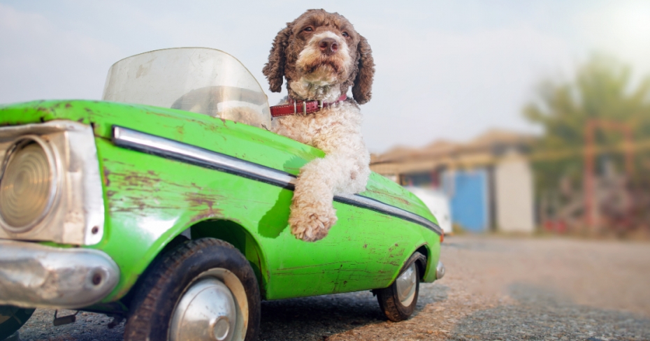 Seasonal car insurance: how to insure your summer vehicle