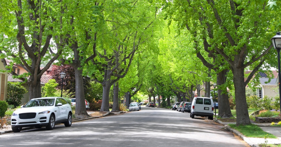 REPORT: Toronto’s most and least expensive neighbourhoods for car insurance