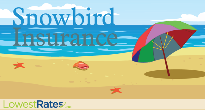 best snowbird travel insurance
