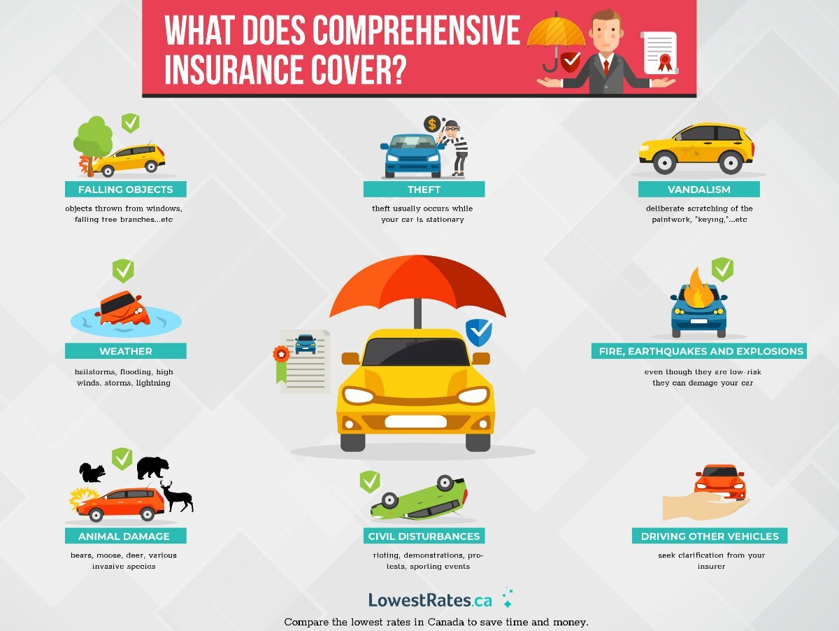 Comprehensive insurance coverage infographic.